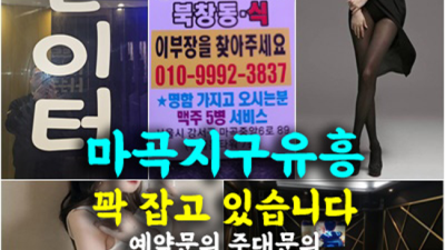 마곡지구발리룸 뛰어난 뒷마무리 일등영업진 최선을다하겠습니다 마곡북창동식룸 마곡노래클럽 마곡텐카페