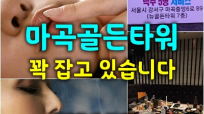 밤대통령 마곡북창동식룸 한치의 소홀함이 없는 후회없는선택입니다 마곡지구발리룸 마곡단란주점
