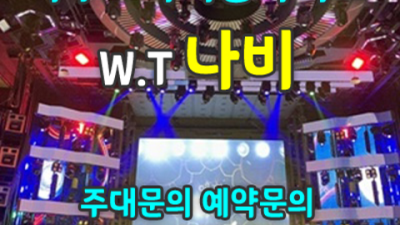 파주스카이돔나이트 행복을 주는 프로 영업진 꼭찾으세요 스카이돔나이트 야당룸