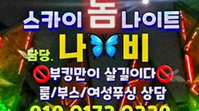 야당스카이돔나이트 끝까지 책임지는 서비스맨 인연을 소중히 생각합니다 파주스카이돔 야당레깅스룸